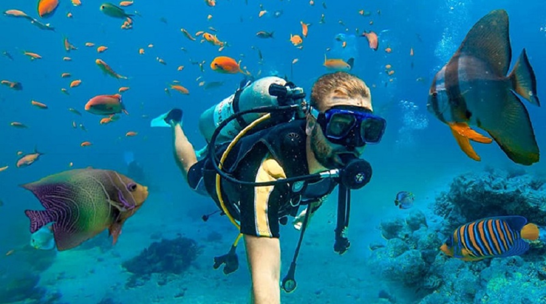 Чудеса под водой. Какие уникальные подводные достопримечательности обожают дайверы