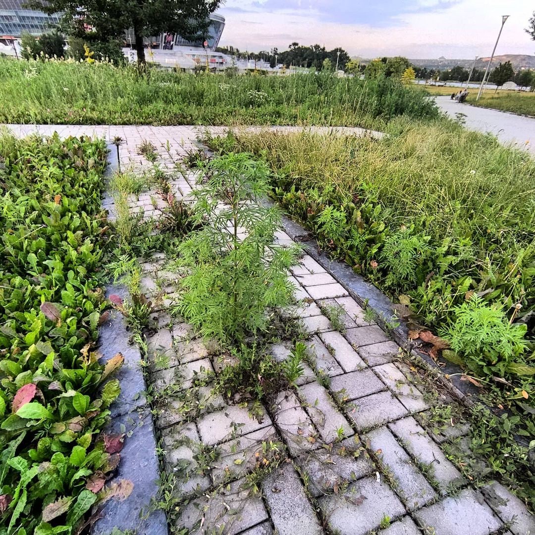 Появились свежие фото "Донбасс-Арены", куда боятся заходить люди: печальные кадры