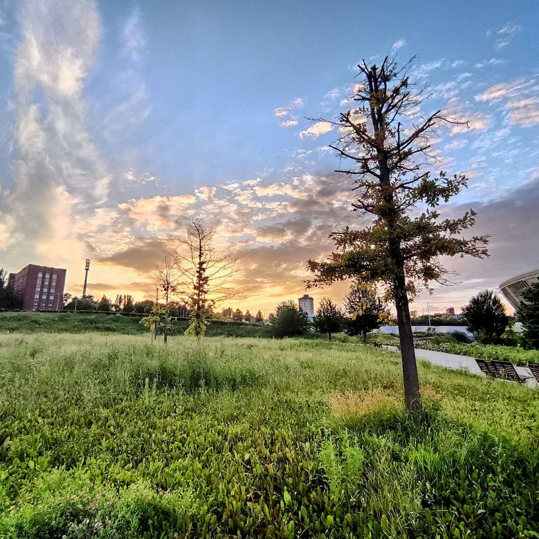 Появились свежие фото "Донбасс-Арены", куда боятся заходить люди: печальные кадры