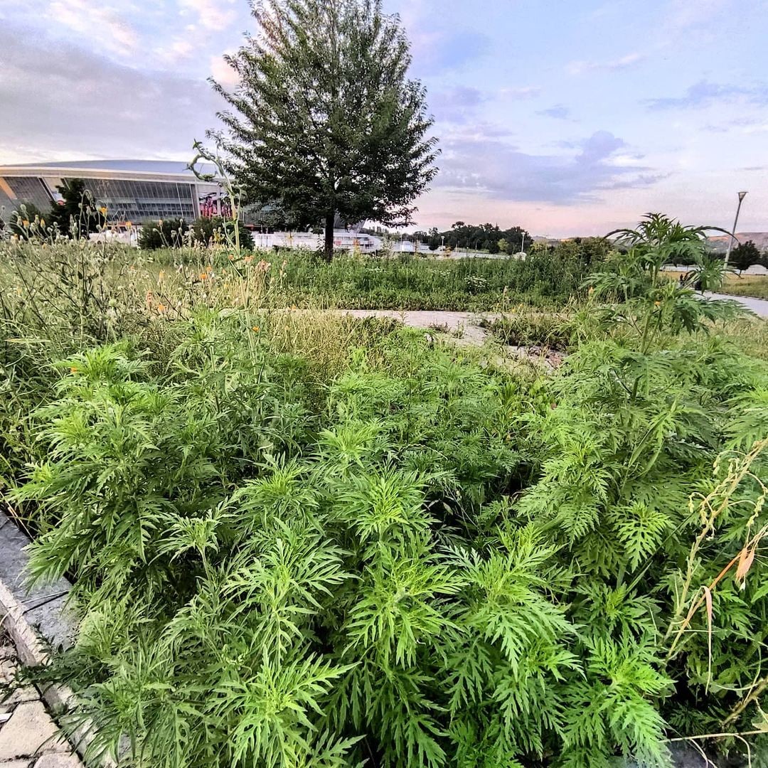 Появились свежие фото "Донбасс-Арены", куда боятся заходить люди: печальные кадры