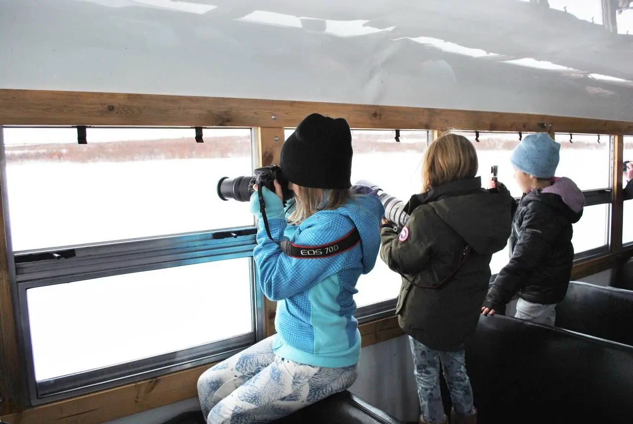 Белые медведи и тишина: туристов в тундре пересадят на уникальные электрические вездеходы