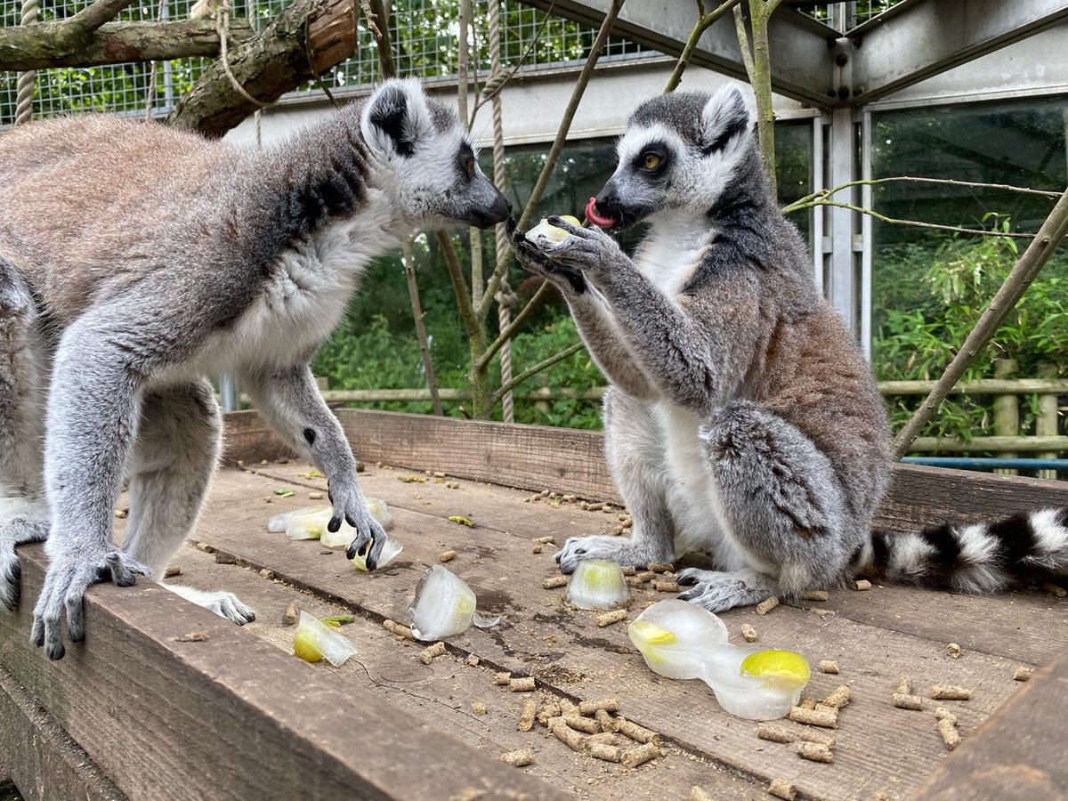 Лесные пожары, перебои с транспортом, сотни погибших. Аномальная жара накрыла Европу