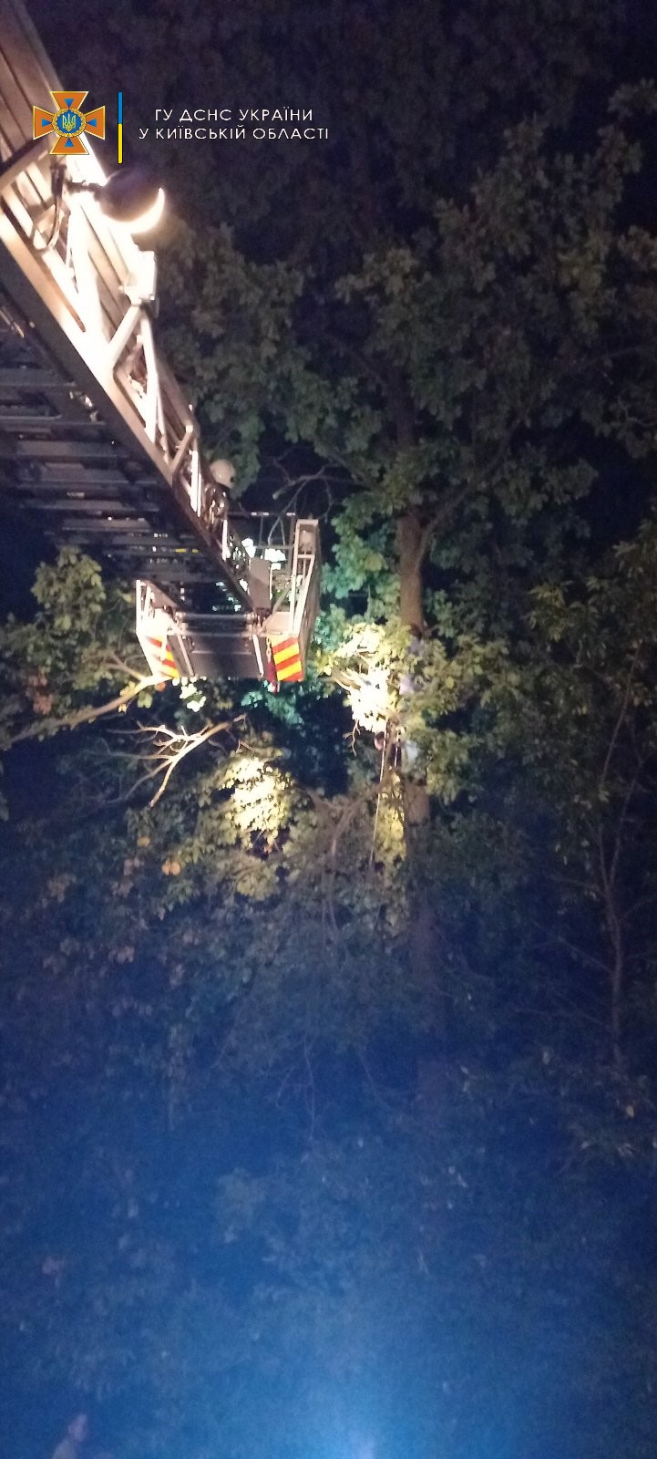 Под Киевом спасатели спасали женщину, которая хотела спасти котика (фото)