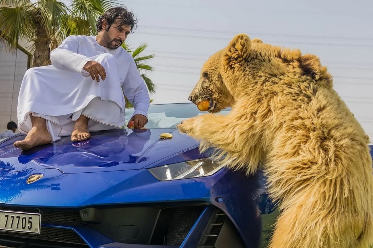 Шейх у захваті: домашній ведмідь вирвав двері у суперкара Lamborghini