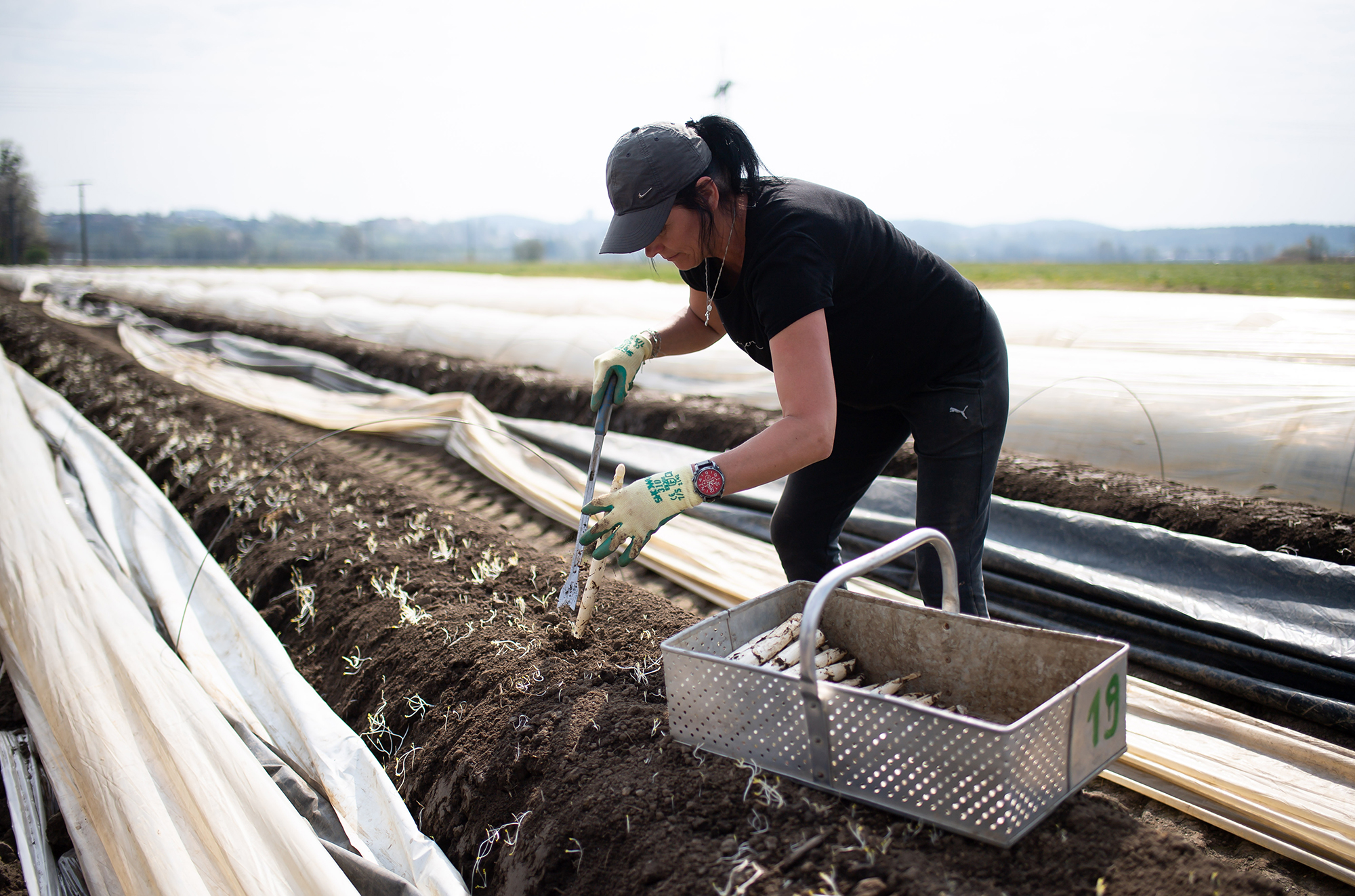 Знання мови і зарплати. Де та як українці шукають роботу за кордоном