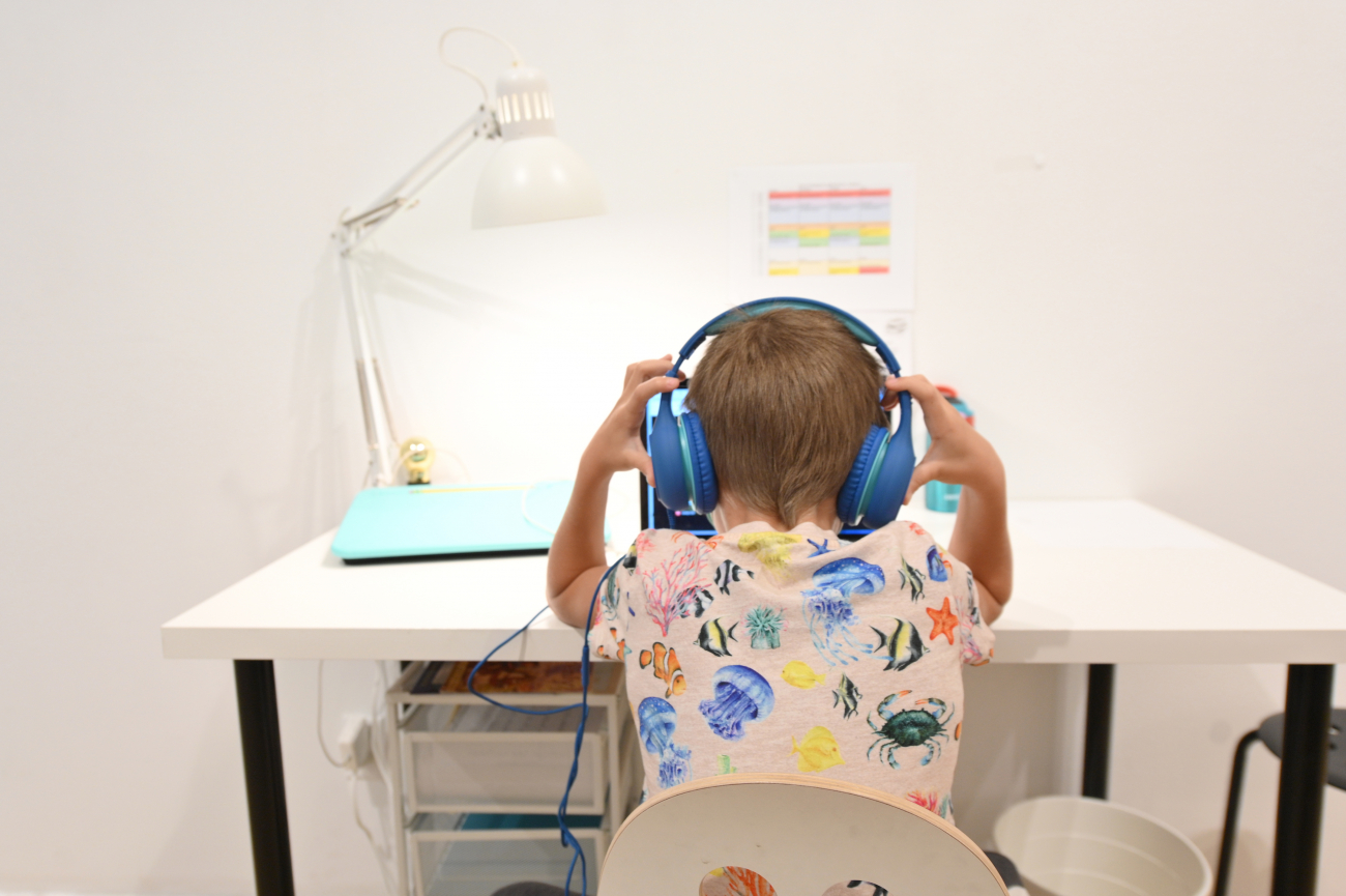 Изменение формы обучения и будущее наших детей. Чего ждать и стоит ли паниковать?