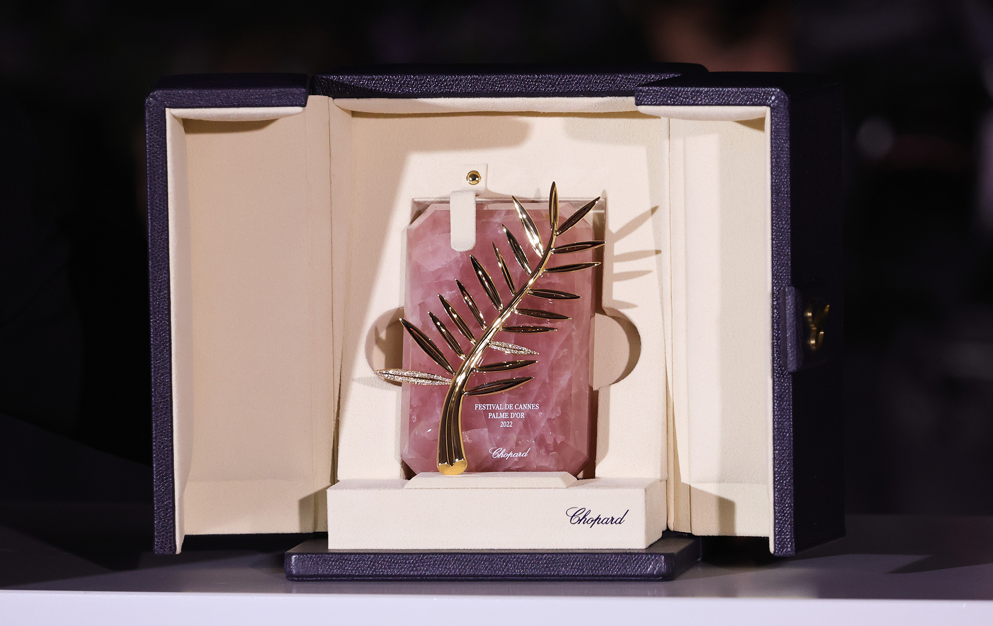 Канни 2025: все, що потрібно знати про 78-й кінофестиваль