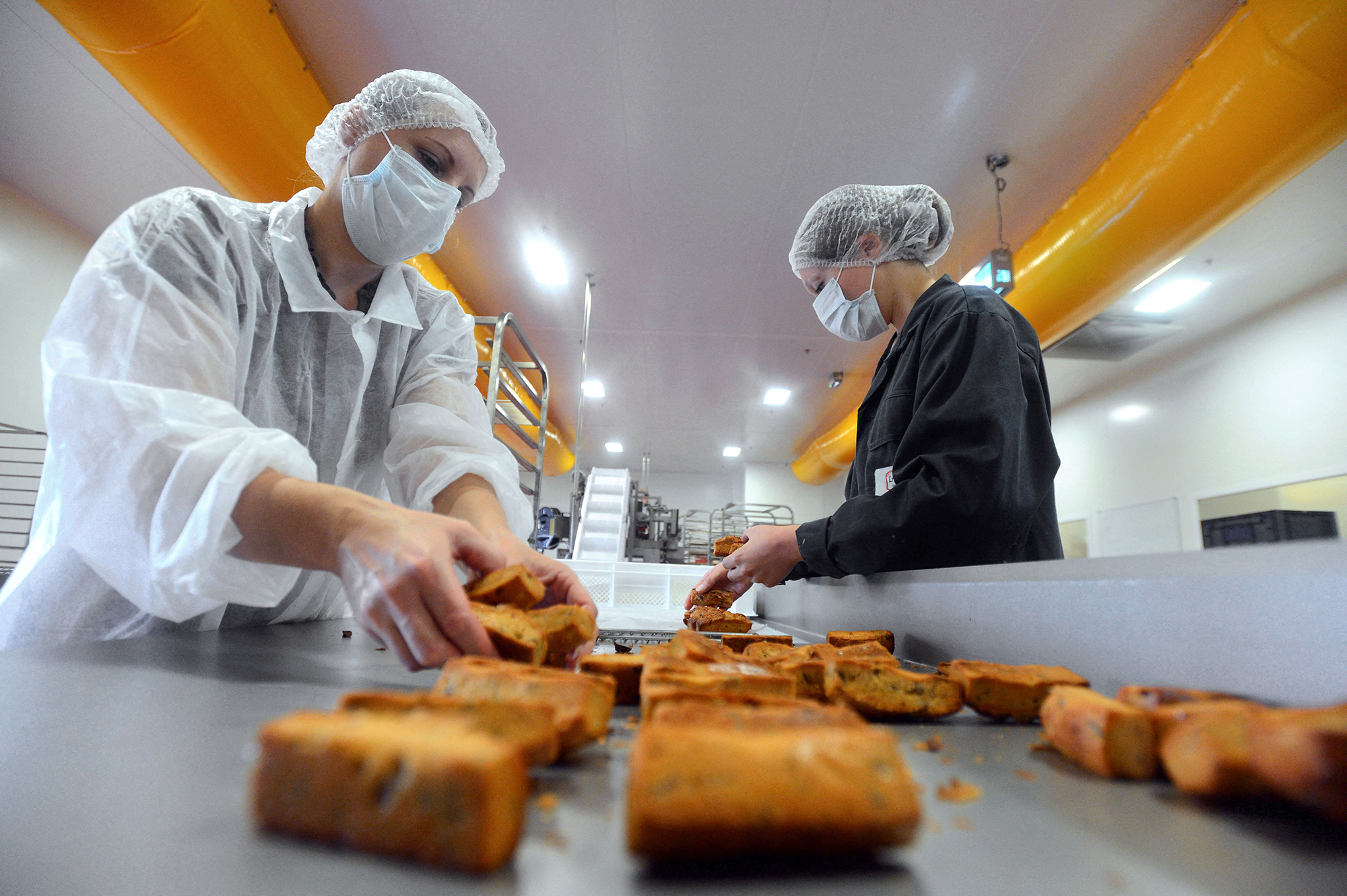 Робота в Литві: які вакансії і зарплату пропонують українцям без знання мови