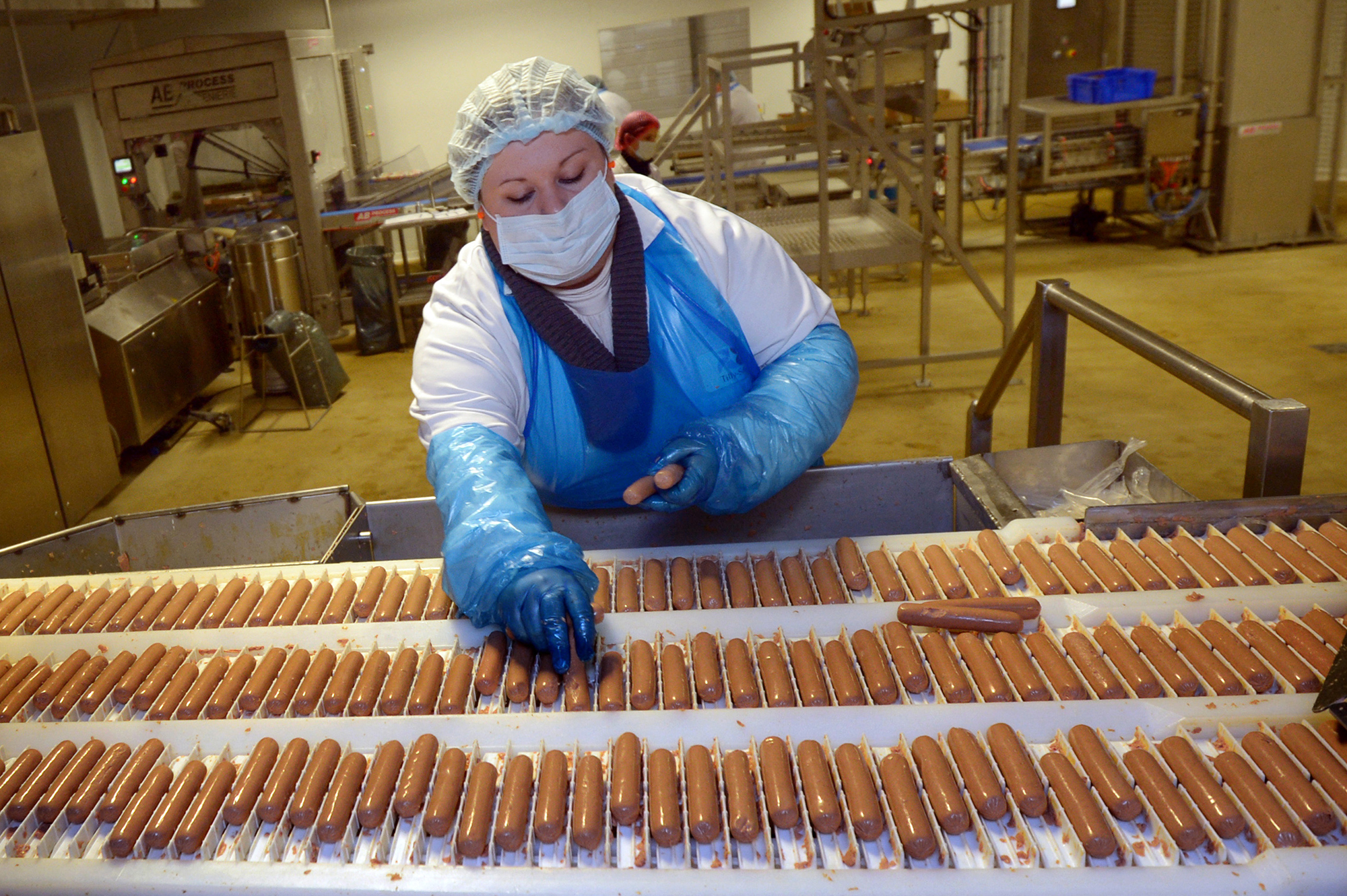 Работа в Нидерландах: сколько можно заработать без знания языка