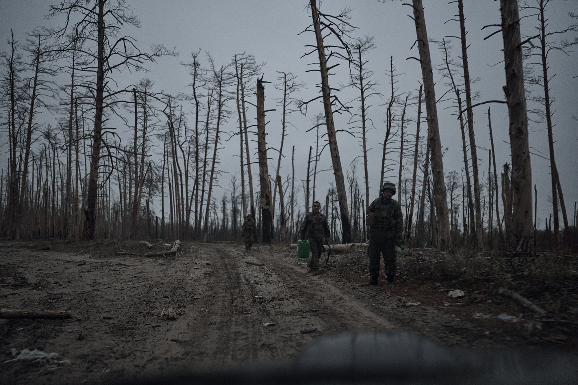 Академік НАН: На місці Каховського водосховища за 20 років виросте унікальний ліс