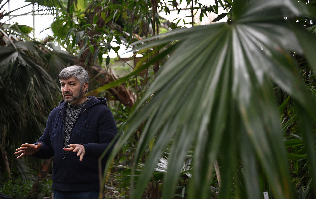 Чи цвістиме бузок та азалії? У Ботсаду Гришка розповіли про наслідки критичної зими