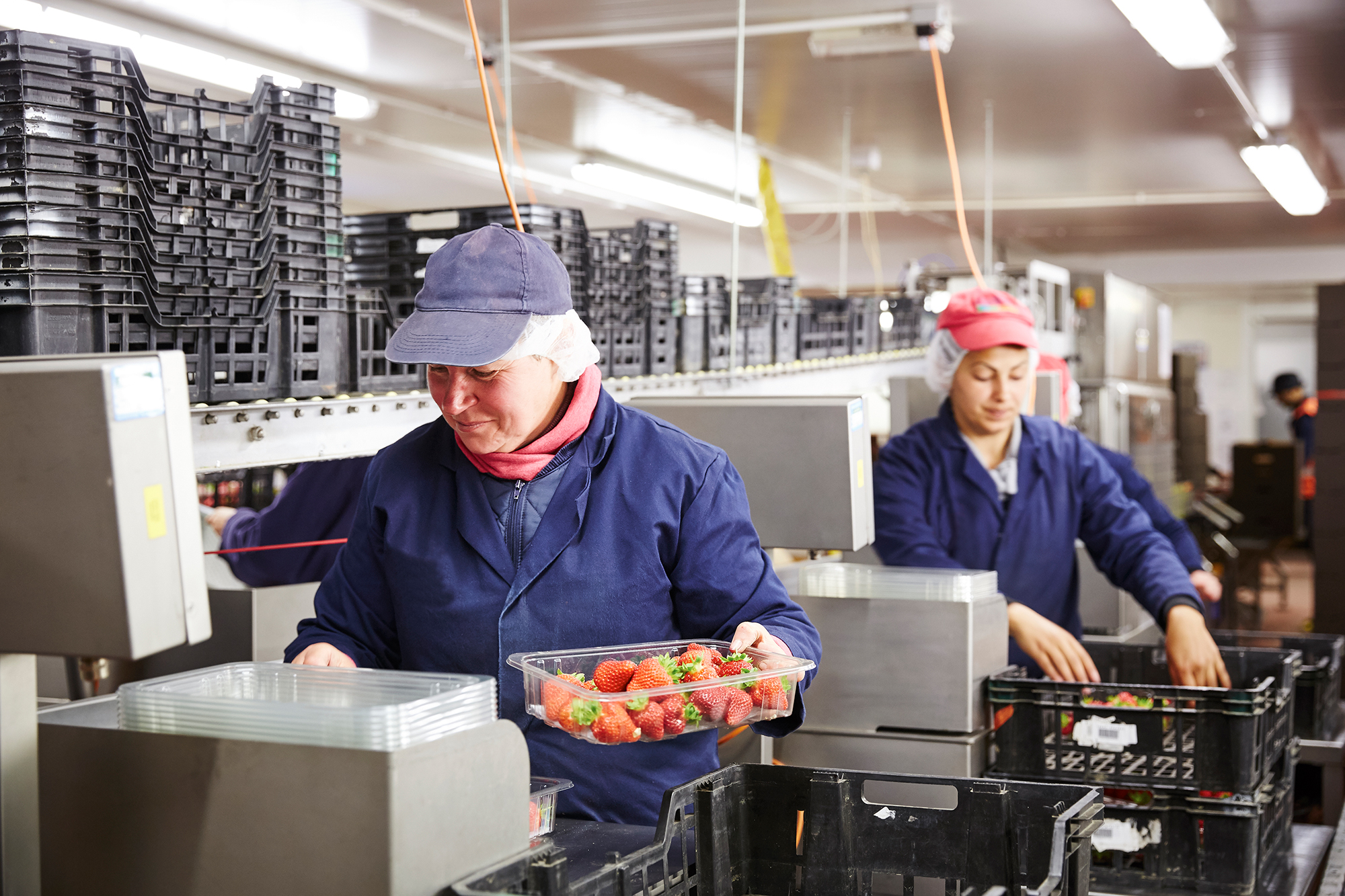 Схеми обману українців при працевлаштуванні за кордоном: як уникнути шахрайства