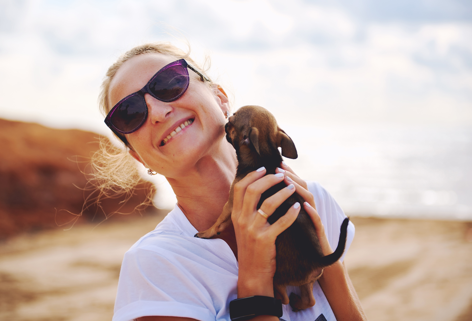 Топ-6 міні-собак, що ідеально підходять для квартири і мають чудове здоров'я