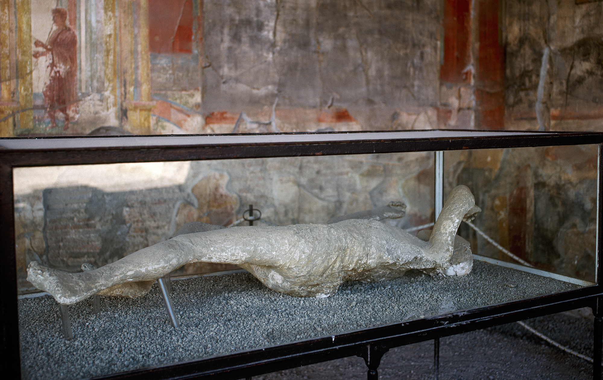 "Скам'янілі" люди із Помпеїв - фейк. Вчені розвіяли популярний археологічний міф