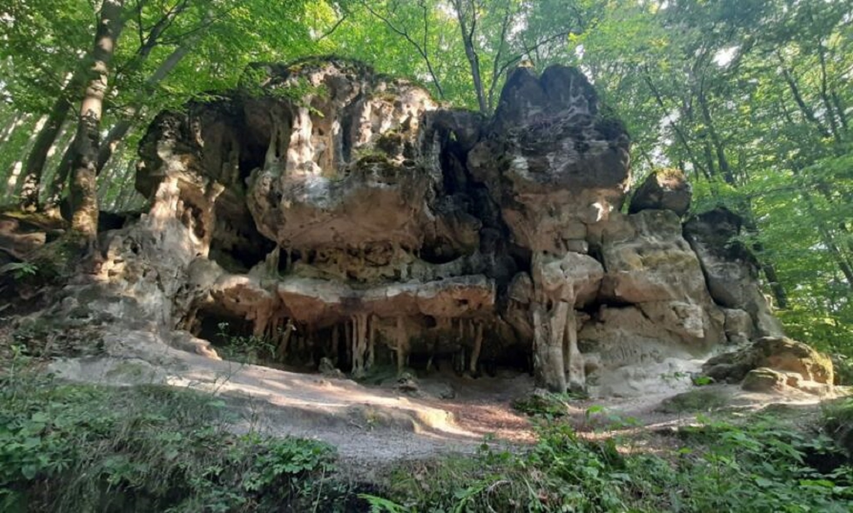 Унікальний парадокс природи: біля Львова знайшли вражаючий каньйон