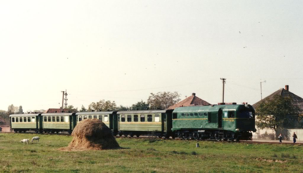 Как узкоколейные железные дороги дали развитие Закарпатью и где их увидеть сегодня: путеводитель