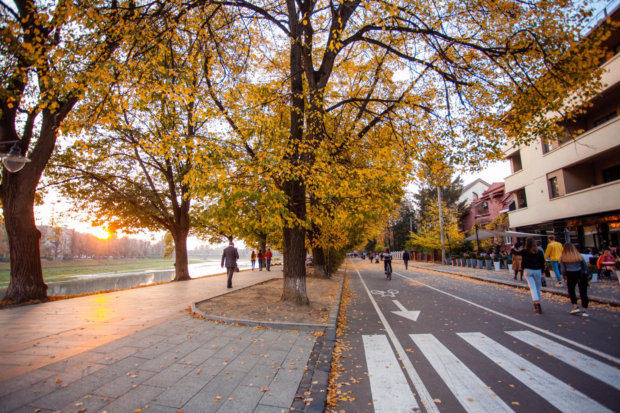 Без комендантської години. Скільки коштує оренда житла в Ужгороді