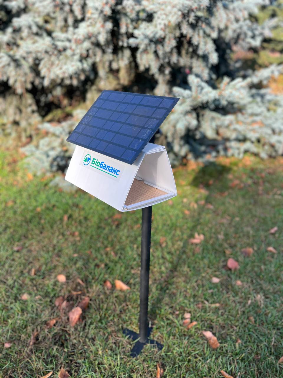 Лайфхаки від підприємиць: 5 порад від українок, які збудували успішний бізнес з нуля