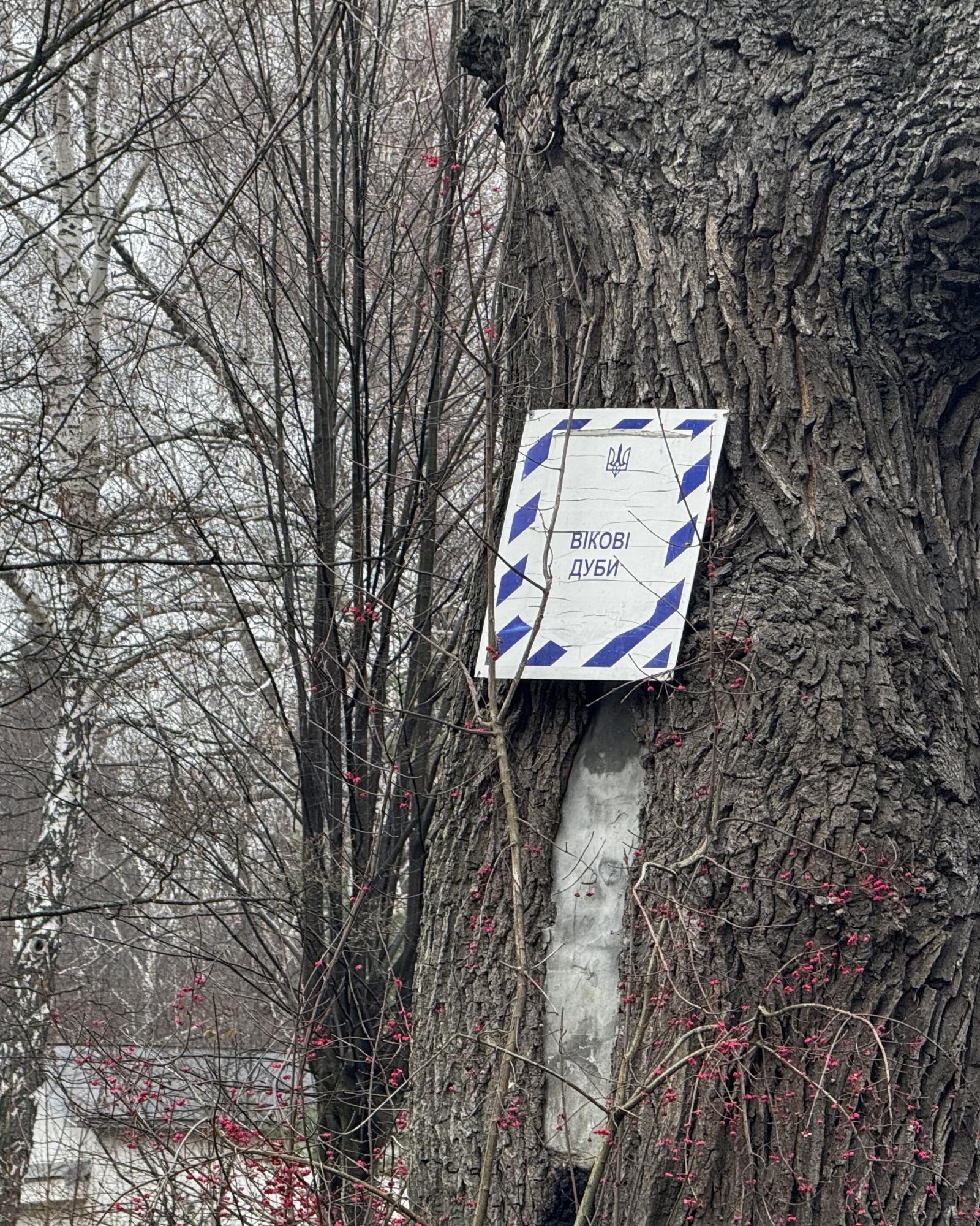 "Наші космічні розробки є на Марсі". Що приховує Головна обсерваторія у лісі біля Пирогова