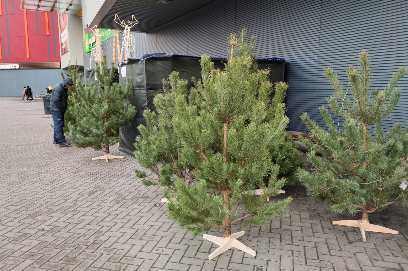 Як прибрати ялинку так, щоб не засипати все голками: корисний лайфхак