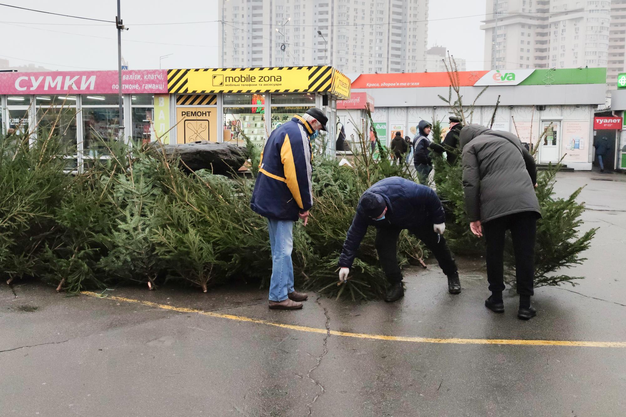 Жива чи штучна: яку ялинку обрати для дому