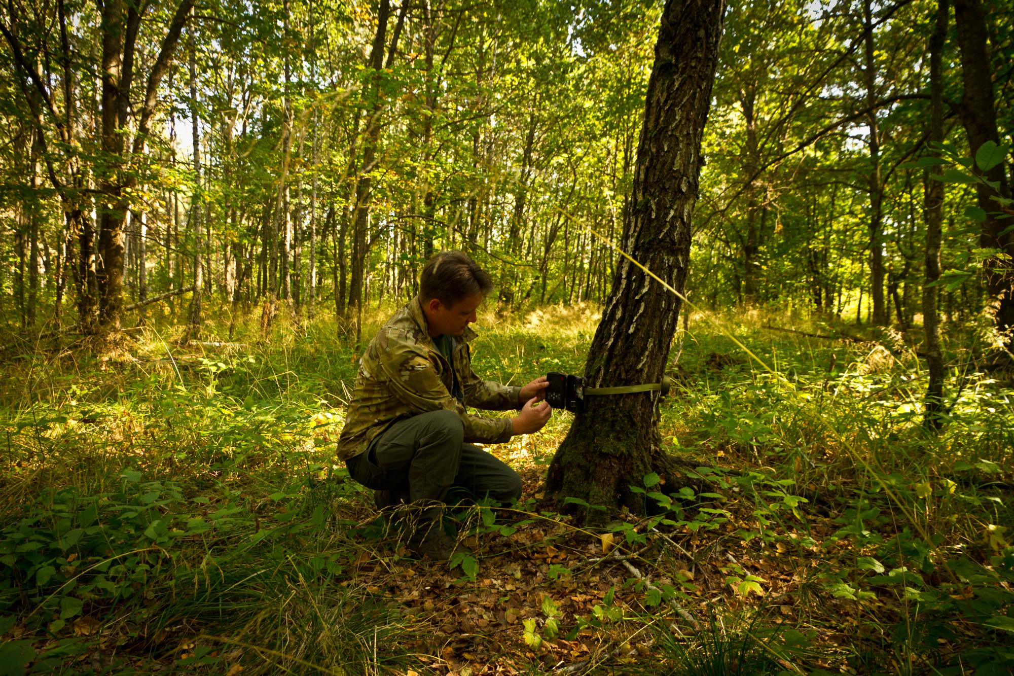 Чи водяться мутанти у Чорнобилі та хто живе у рудому лісі: бліц про тварин зони відчуження