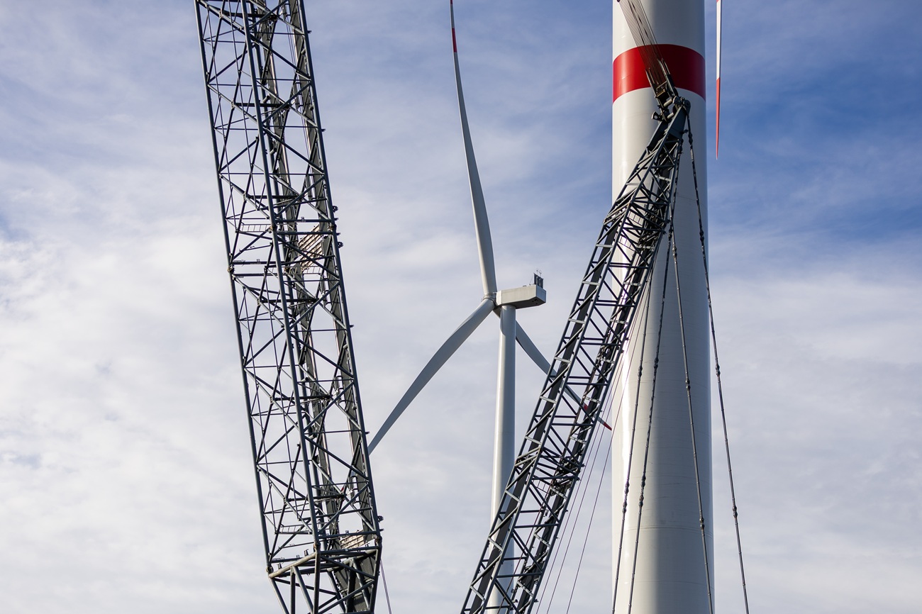 Перша ВЕС Закарпаття: як інвестиційний проєкт зміцнює енергетику та економіку регіону