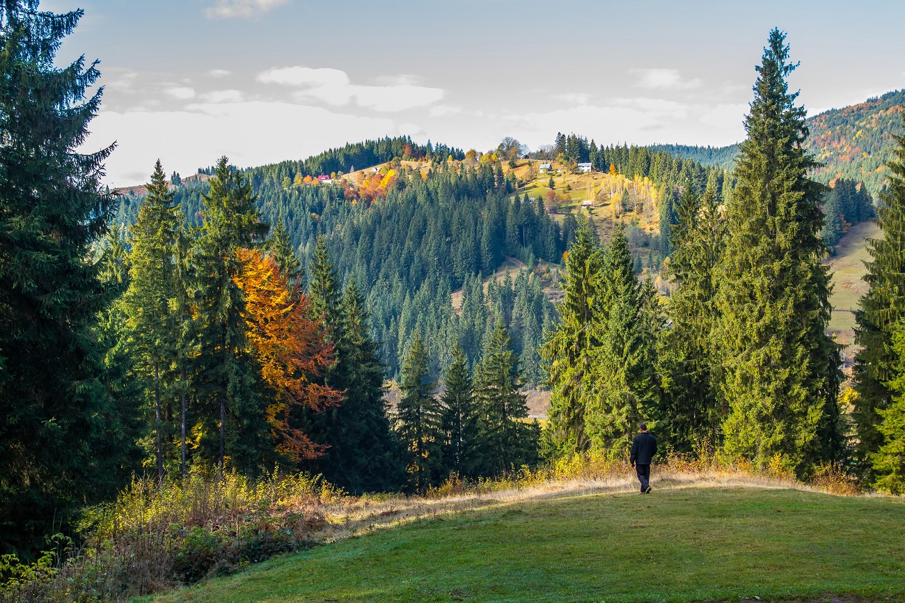 Скільки зараз коштує відпочити в Карпатах: ціни на готелі
