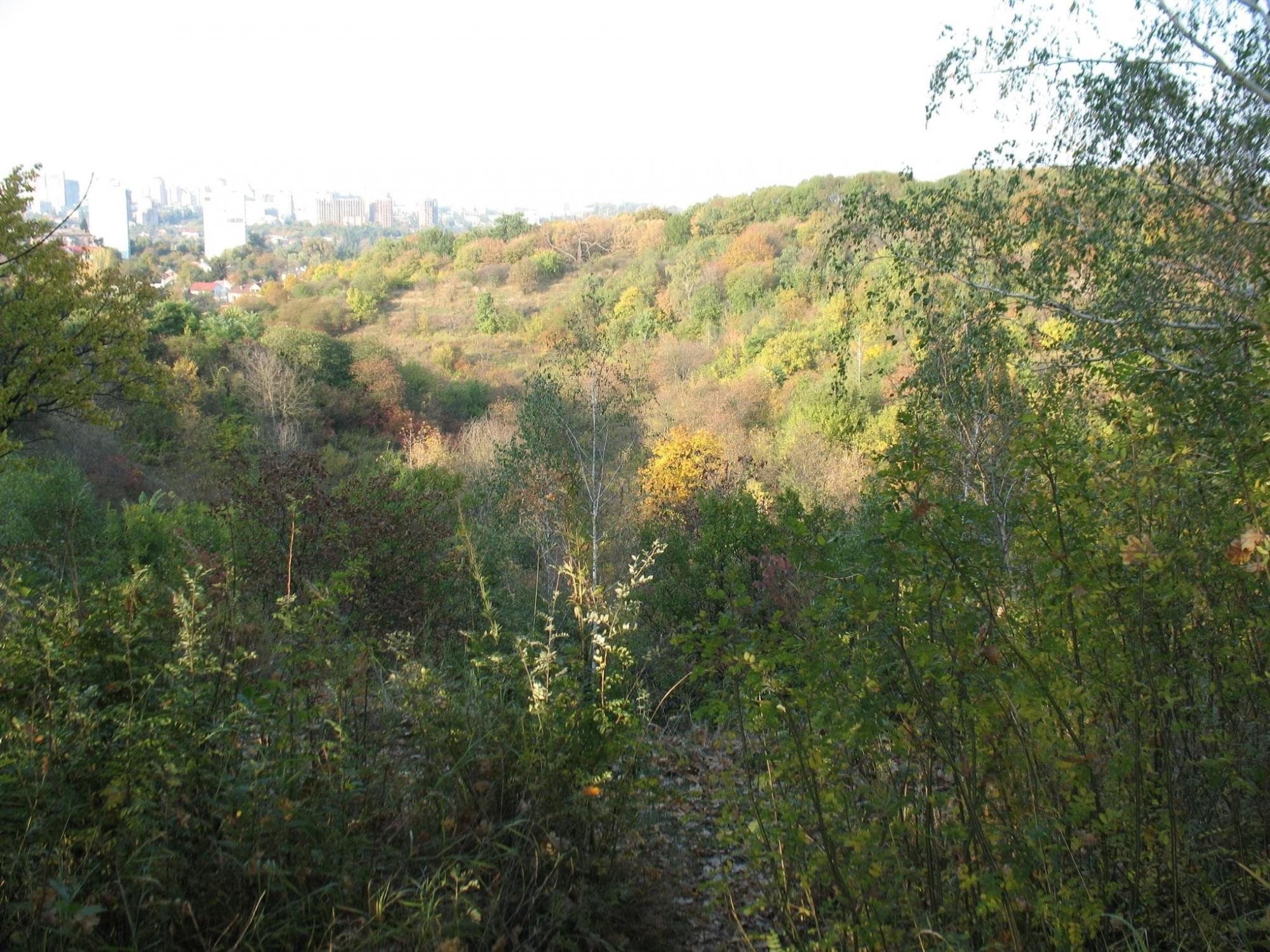 Стало відомо, в яких районах Києва збудують Національне військове кладовище