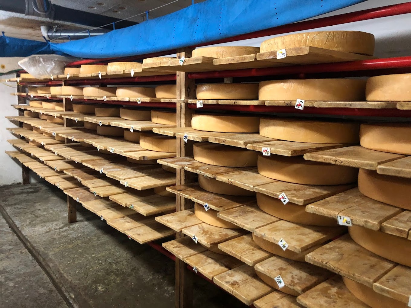 Родзинки Закарпаття: найцікавіші 5 місць, які обов'язково потрібно відвідати