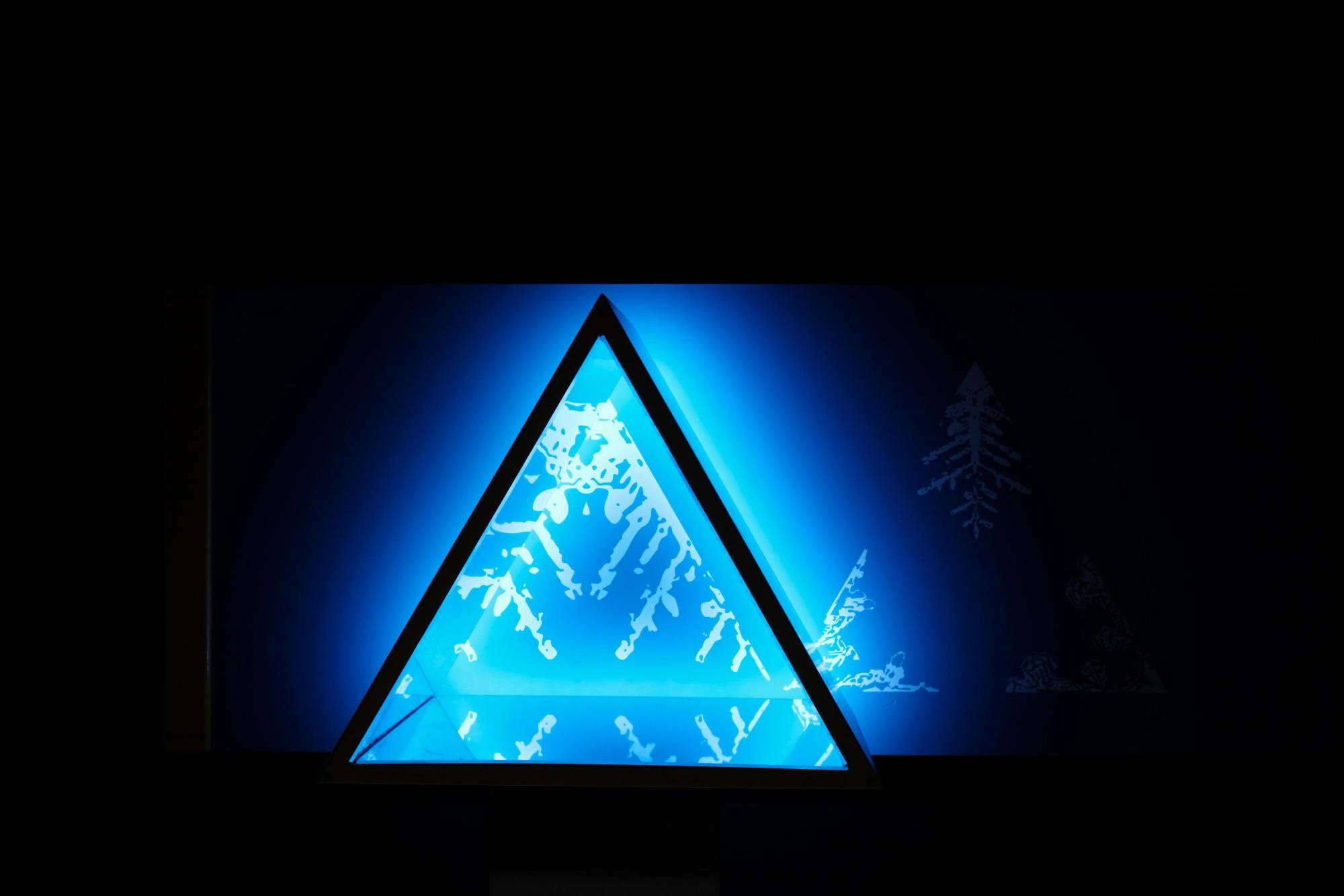 "Не можна не торкатися": як виглядає Музей науки в Чернівцях (фото)