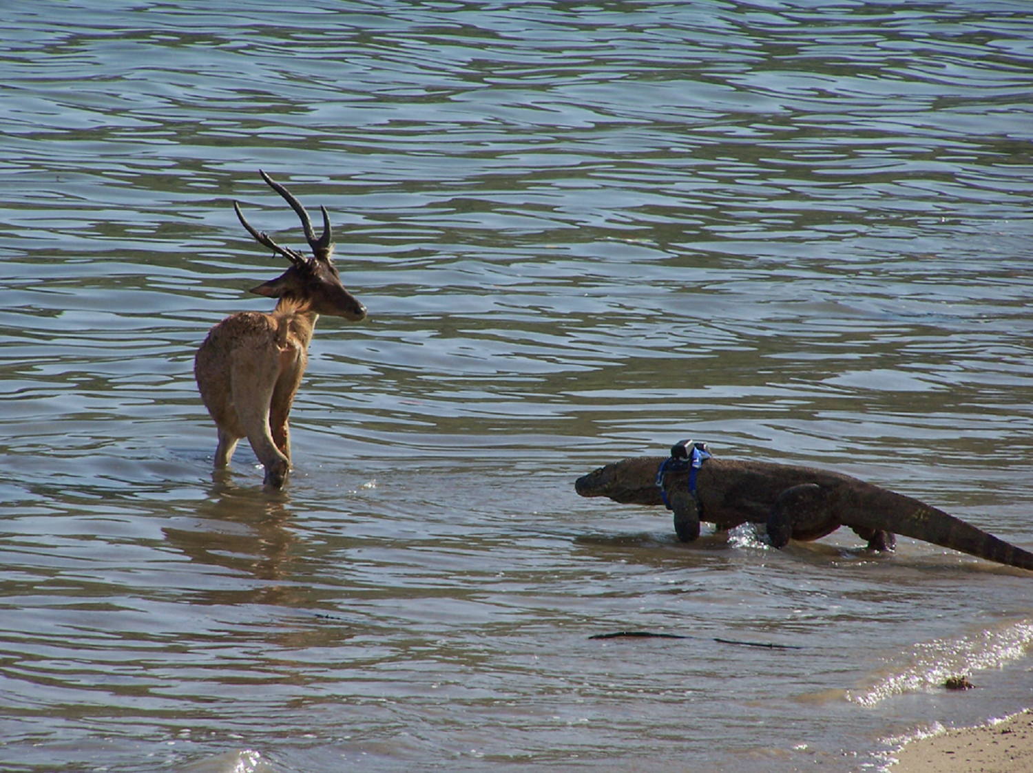 Красота и гордость планеты Земля. 8 фантастических национальных парков