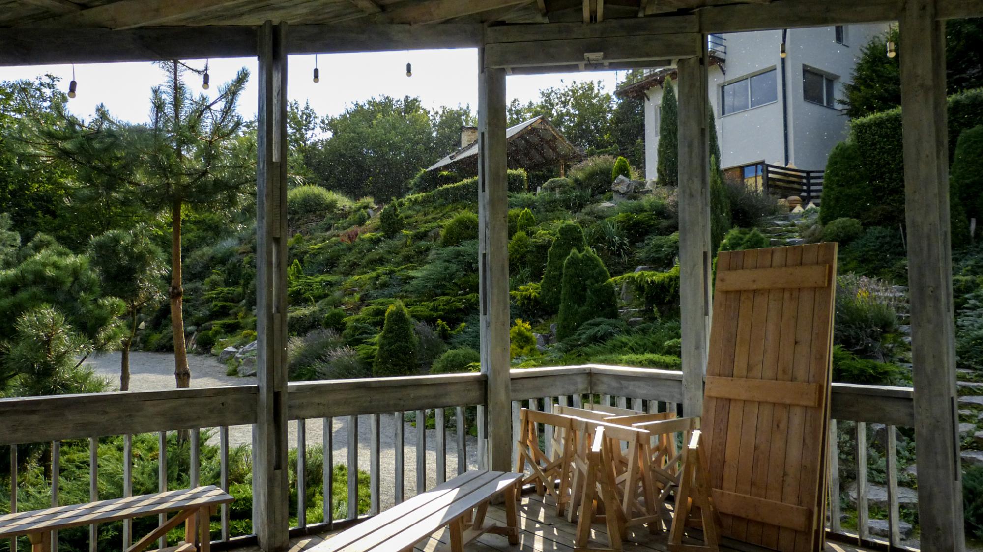 Краса з руїн. Як Сергій Горбань перетворив сміттєзвалище на сад прямо у центрі міста