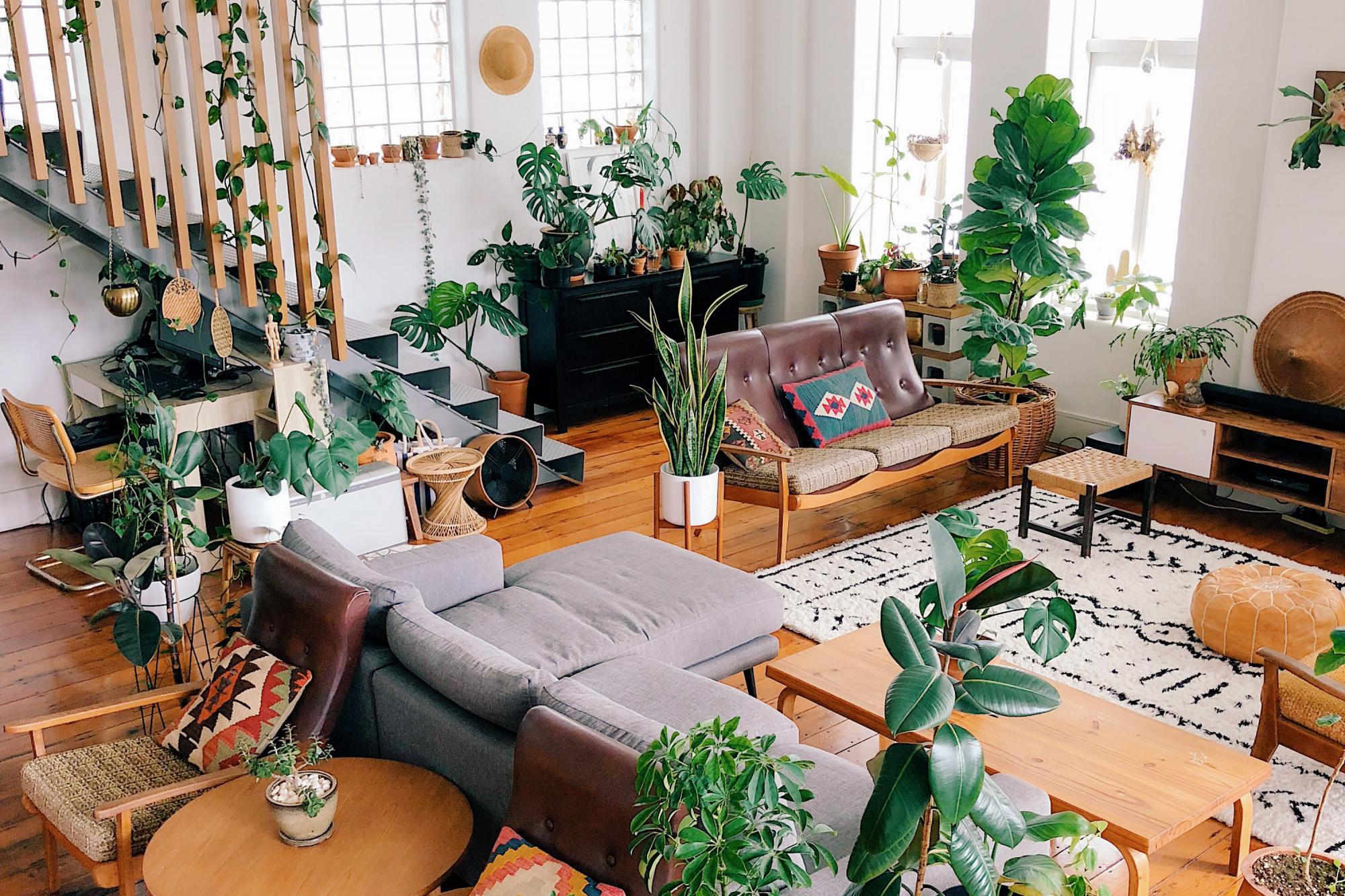 Каким будет актуальный дизайн в 2022 году: прогноз от Airbnb и TikTok