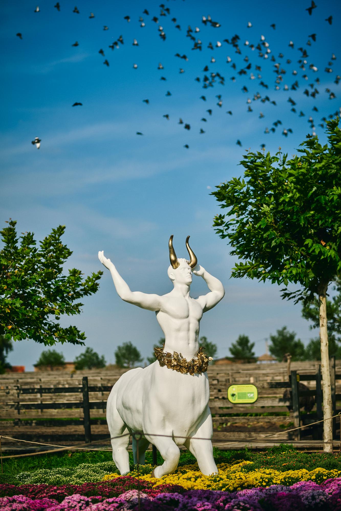Під Києвом відкрилася фантастична виставка квітів: як туди потрапити з сім'єю
