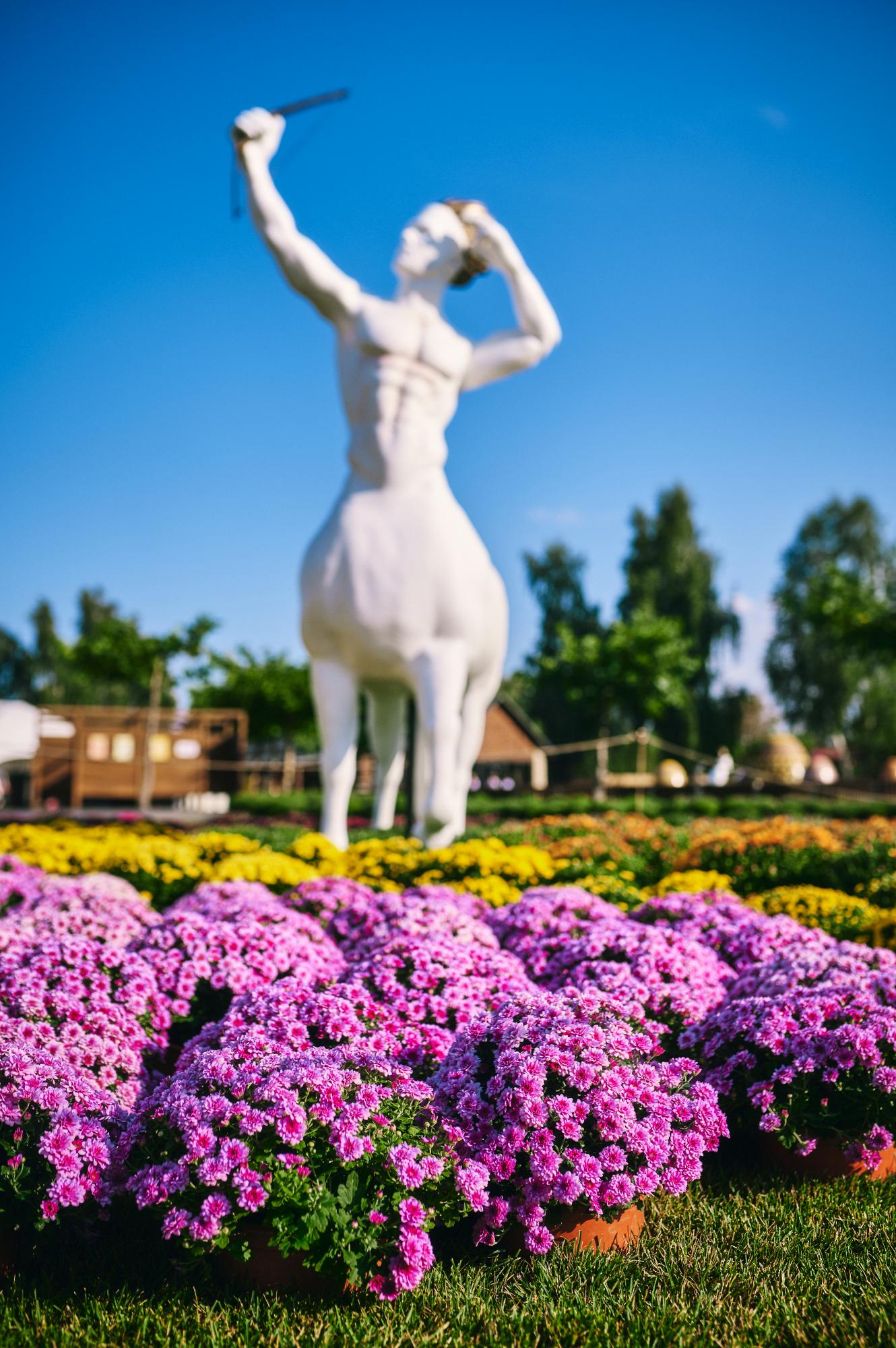 Під Києвом відкрилася фантастична виставка квітів: як туди потрапити з сім'єю
