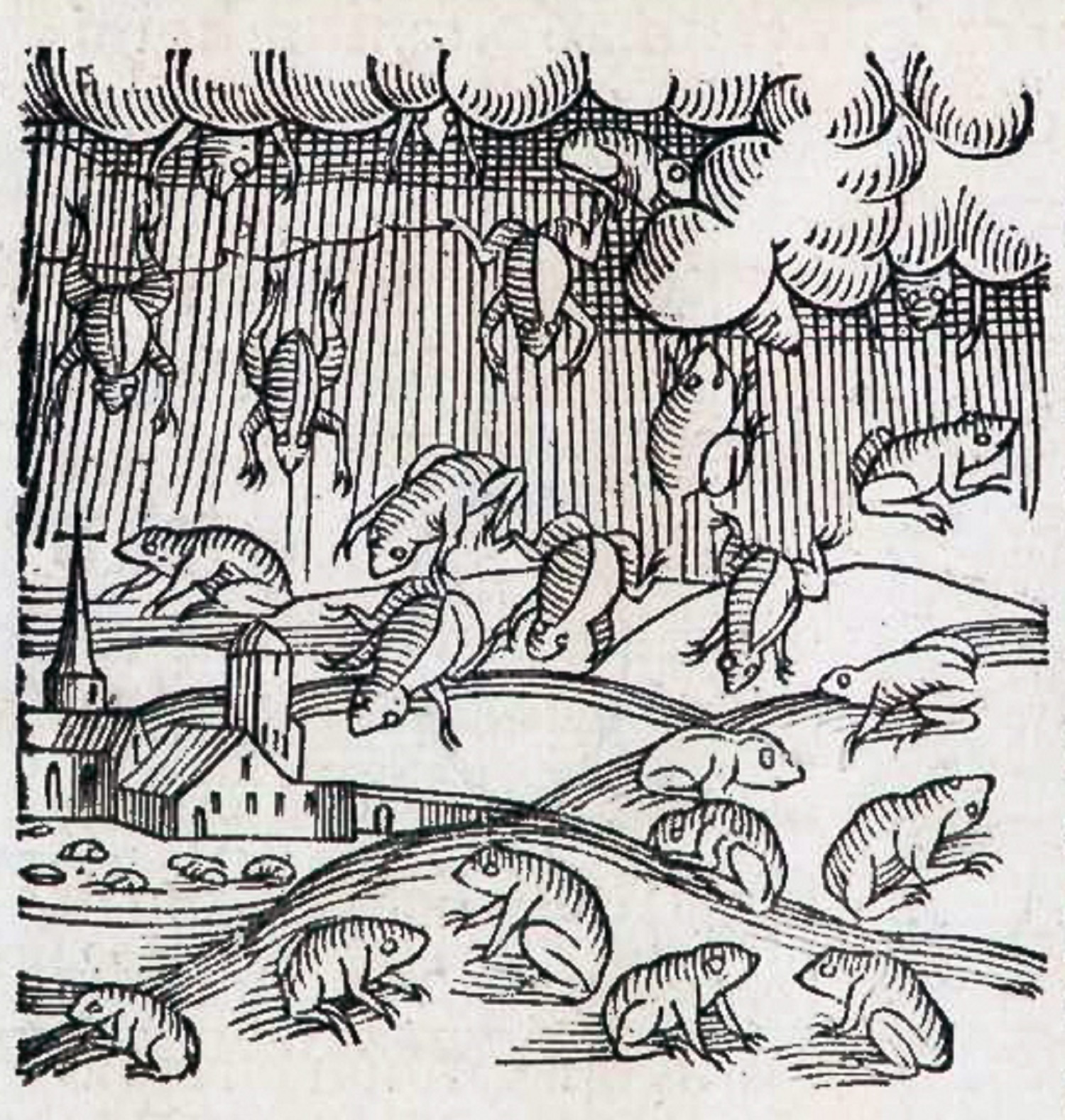 Від павуків до грошей: 9 найнезвичайніших речей, що падали з неба