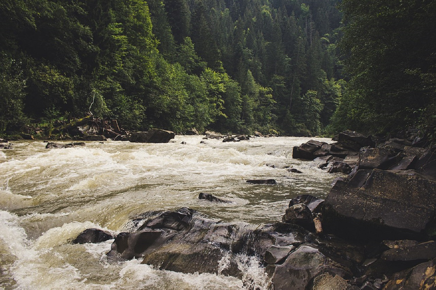 Буковинская Вижница: как посетить множество туристических достопримечательностей в одном месте