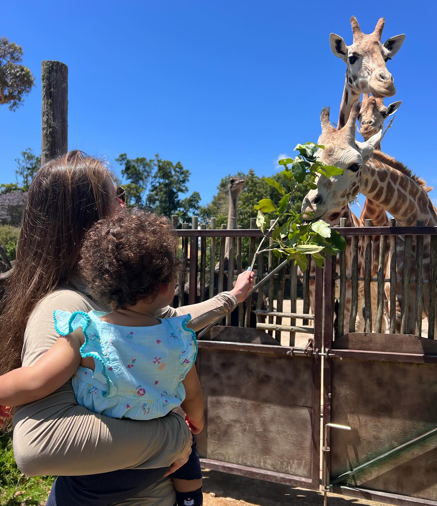 Два роки обіймів та любові: Світоліна показала рідкісне фото з донечкою та чоловіком