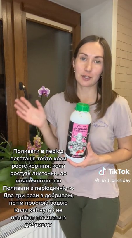 Орхидея завалит вас цветами и будет активно расти: простой секрет ухода