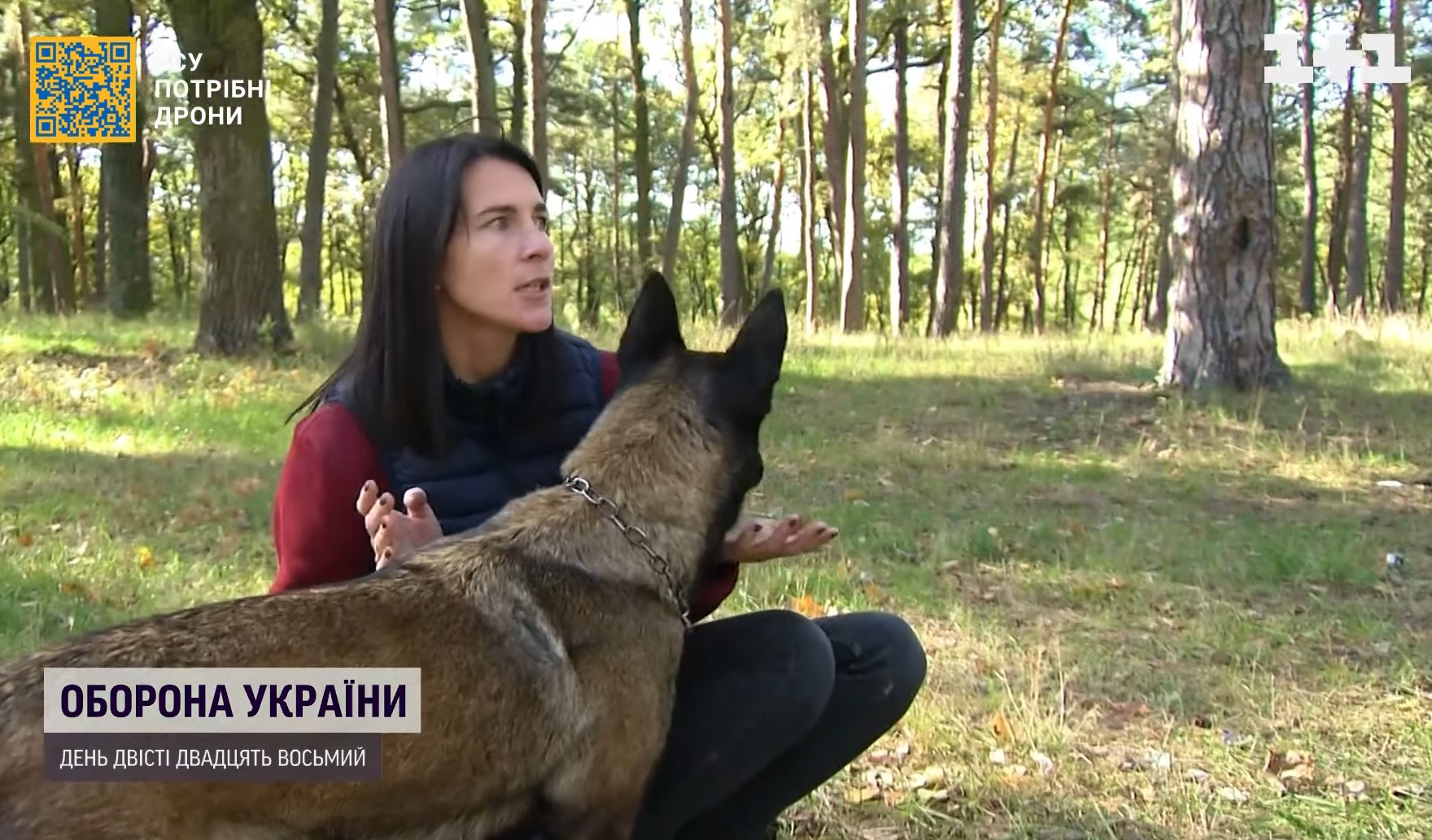 Собака Бліка з Нацгвардії стала чемпіонкою світу: неймовірні фото й історія героїні
