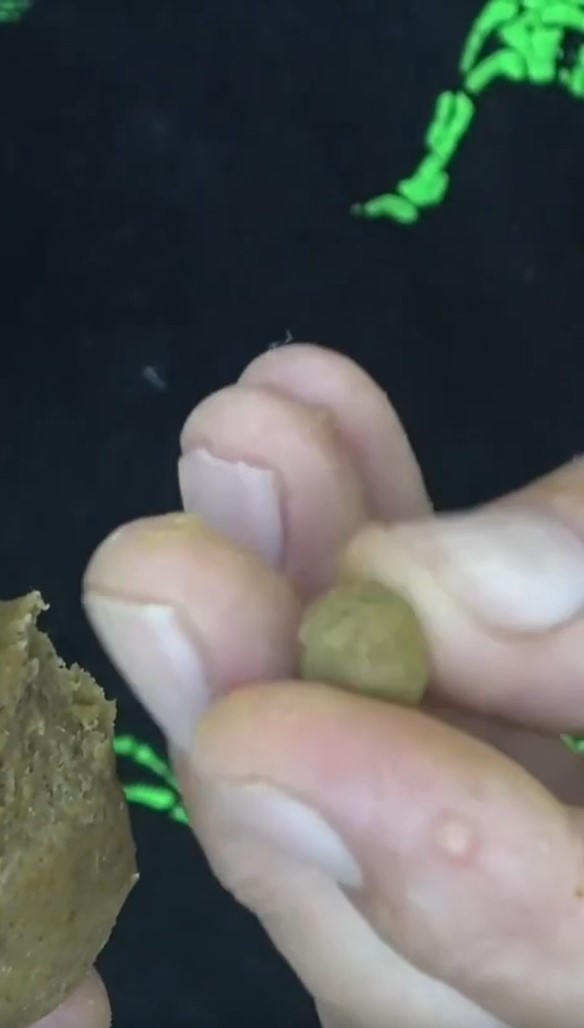 Дідівська насадка, з якою всі карасі і коропи будуть ваші (рецепт)