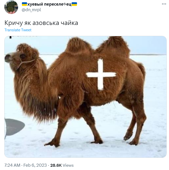 Верблюд, який помстився агресивному росіянину, вже став легендою: дивіться найкращі меми з ним