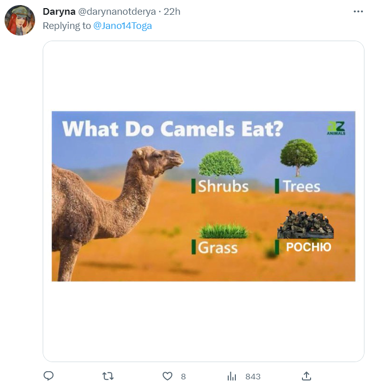 Верблюд, який помстився агресивному росіянину, вже став легендою: дивіться найкращі меми з ним