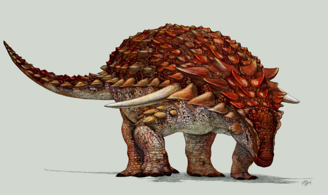 Знахідка одна на мільярд! Вчені показали рідкісного броньованого динозавра із шипами (фото)