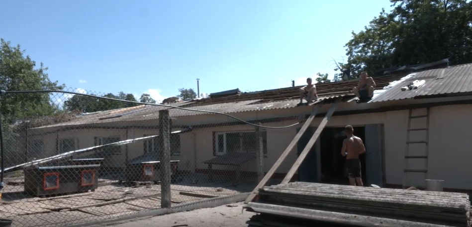 77-летняя зоозащитница спасла почти тысячу животных в Гостомеле во время оккупации