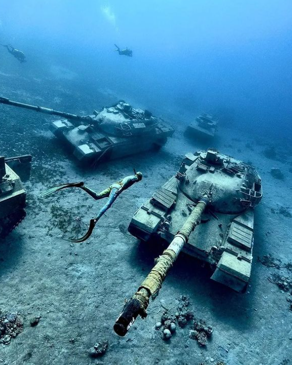 Танки і бойові машини на морському дні. Ось як виглядає підводний військовий музей (фото)
