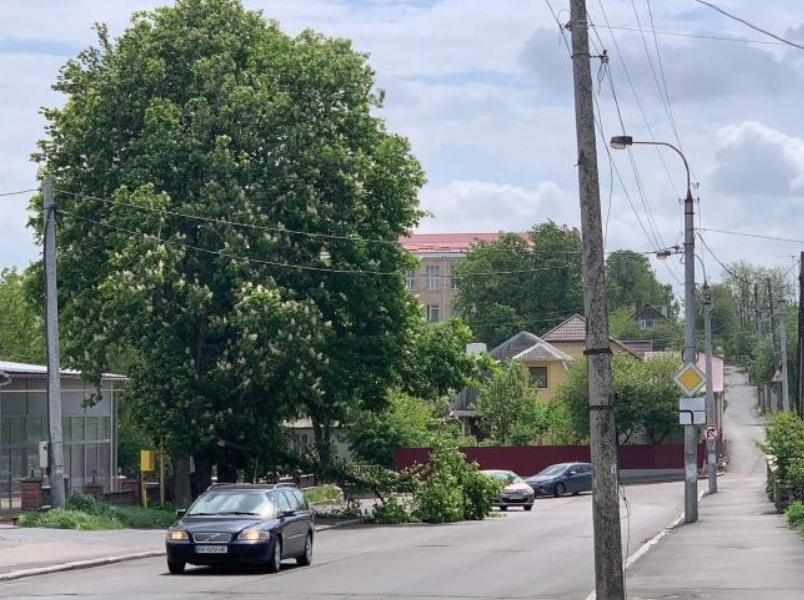 Мощный "немецкий" ураган разбушевался под Ровно: видео и фото стихии