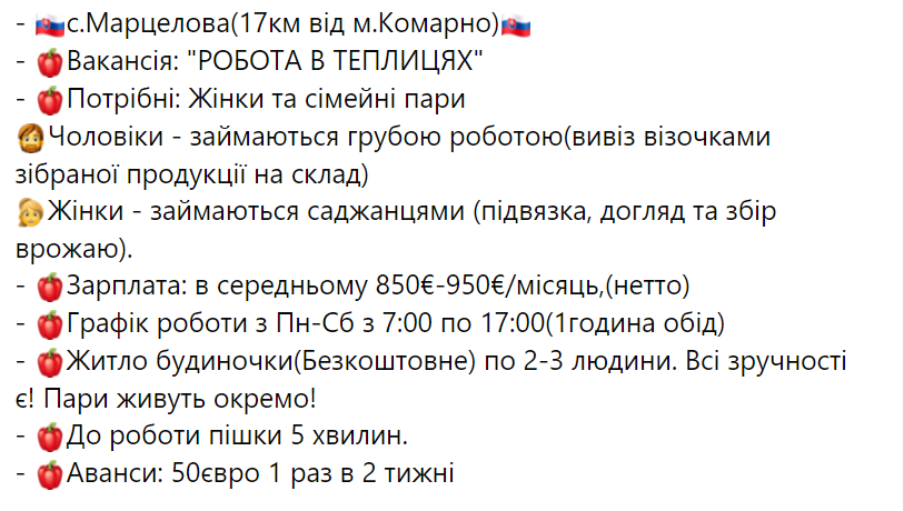 Вакансии для украинцев. Сколько можно заработать в Словакии без знания языка
