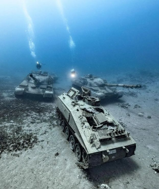 Танки і бойові машини на морському дні. Ось як виглядає підводний військовий музей (фото)